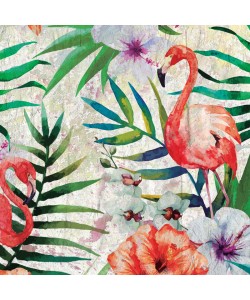 Kimberly Allen, Tropical Life 2