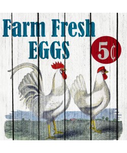 Kimberly Allen, Farm Fresh 1