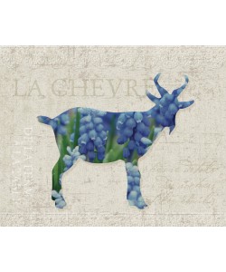 Melody Hogan, Flower Farm Animals-04