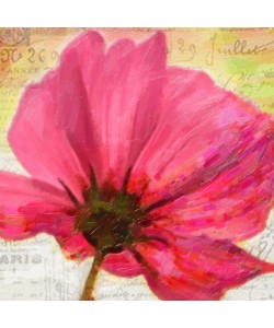 Taylor Greene, Red Poppy II