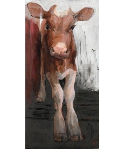 Pieter Pander, Red and white Holstein calf