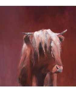 Hiske Wiersma, Highland Cattle in red