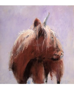 Hiske Wiersma, Highland Cattle in white