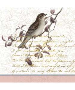 Kimberly Allen, Serenity Birds 1