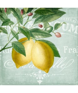 Kimberly Allen, Lemon Drop 2