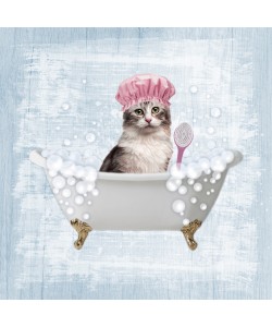 Marcus Prime, Fun Kitty Bath 1