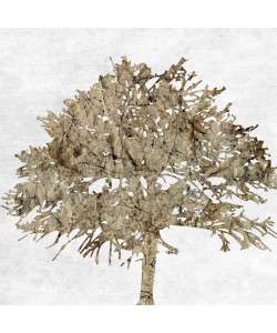 Sheldon Lewis, Time Stood Stilll