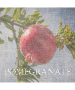 Sheldon Lewis, Pomegranate