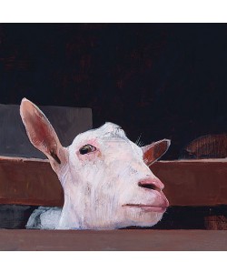 Pieter Pander, Goat's head III