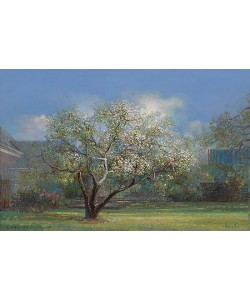 Rein Pol, Garden in Aduard