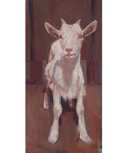 Pieter Pander, Goat I