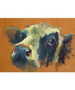 Theo Onnes, Cow