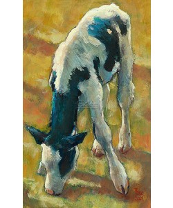 Theo Onnes, Calf