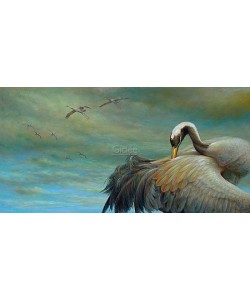 Erik van Ommen, Cranes