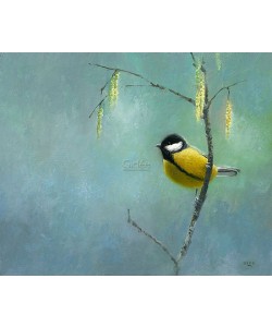 Ulco Glimmerveen, Great Tit