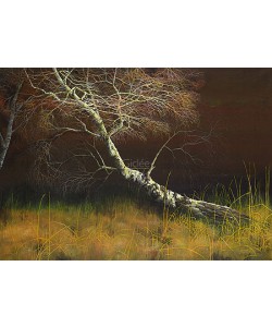 Geke Hoogstins, The old birch