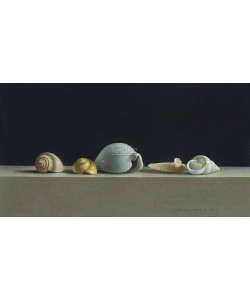 Henk Helmantel, Still life with Shells