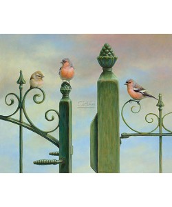 Erik van Ommen, Finches perched on a fence