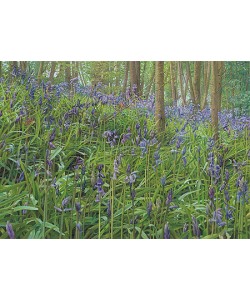 Joke Frima, Wild Hyacinths