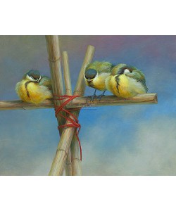 Erik van Ommen, Young Great Tits