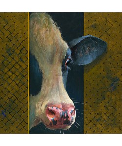 Theo Onnes, Cow