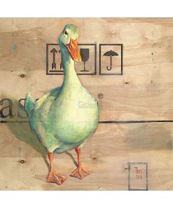 Theo Onnes, Duck