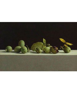 Henk Helmantel, Walnuts in shells