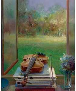 Rein Pol, Violin with a view