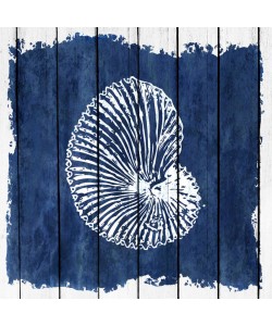 Kimberly Allen, Coastal 3