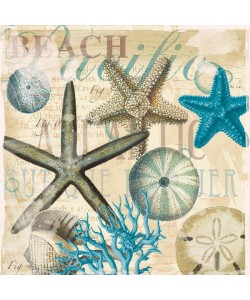 Ophelia & Co, Beach Shells R1