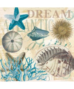 Ophelia & Co, Dream Shells R1