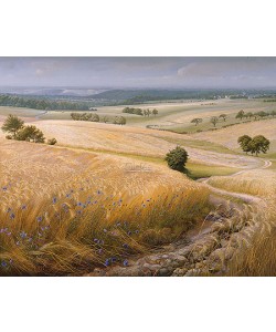 Patrick Creyghton, Corn fields