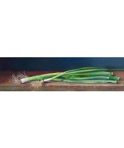 Jef Diels, Spring onion