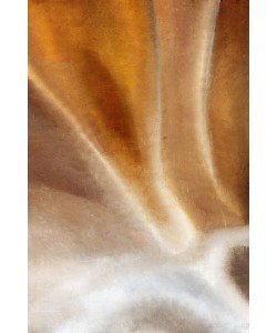 Kimberly Allen, Copper Wave