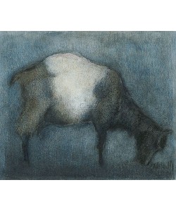 Pieter Knorr, Fem the goat
