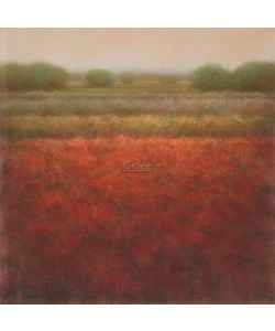 Hans Dolieslager, Red field