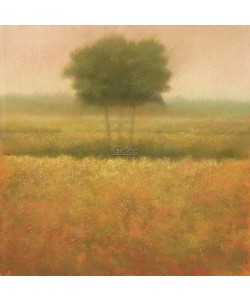 Hans Dolieslager, Yellow Field