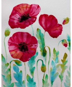 Boho Hue Studio, Pixie Pop 2