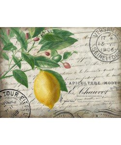 Kimberly Allen, Vintage Lemon