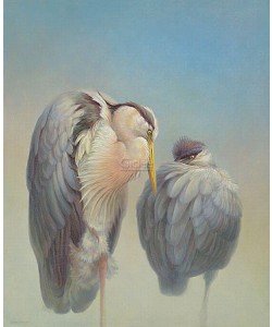 Erik van Ommen, Grey herons