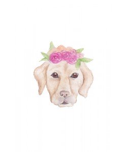 Pam Varacek, Petunia Pup