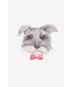 Pam Varacek, Bowtie Blackie