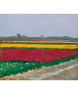 Jentsje Popma, Tulip fields near Callantsoog