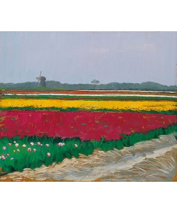 Jentsje Popma, Tulip fields near Callantsoog