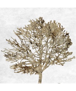 Sheldon Lewis, Time Stood Still 2l