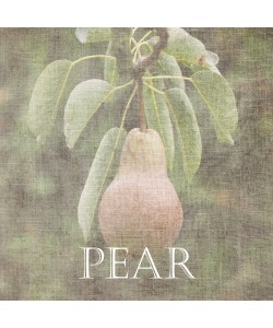 Sheldon Lewis, Pear