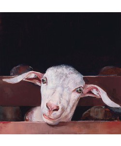 Pieter Pander, Goat's head I