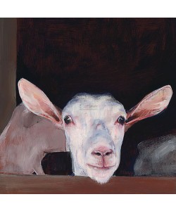 Pieter Pander, Goat's head II