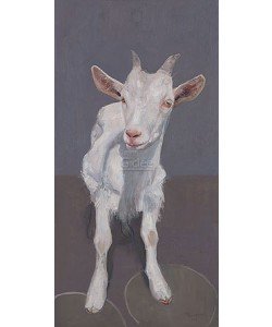 Pieter Pander, Goat II