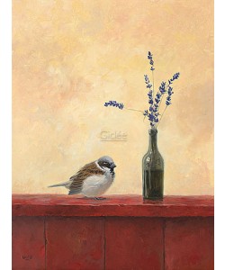 Ulco Glimmerveen, Sparrow